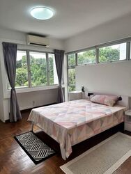 Clementi Park (D21), Condominium #558080901